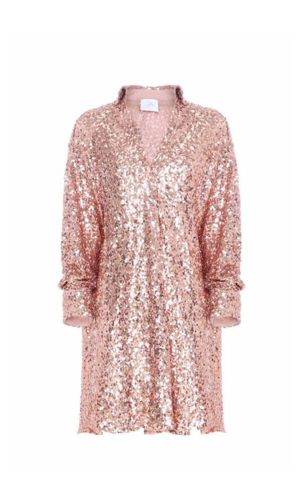 SHORT SHIRT COLLAR DRESS WITH PAILLETTES