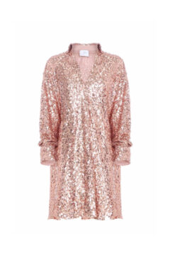 SHORT SHIRT COLLAR DRESS WITH PAILLETTES
