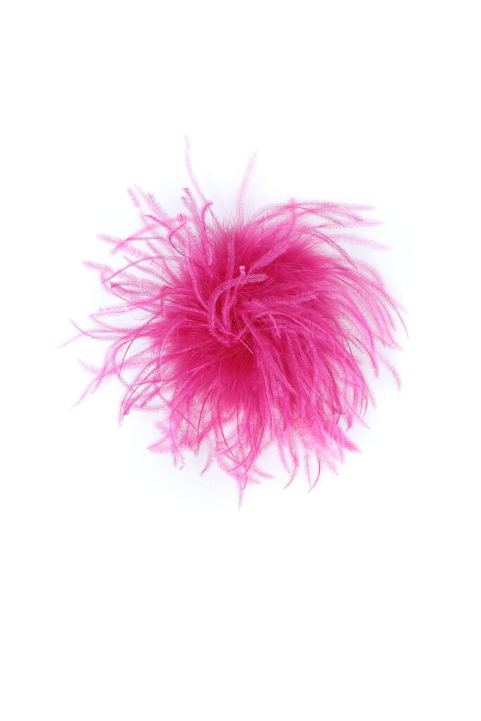 FUCSIA